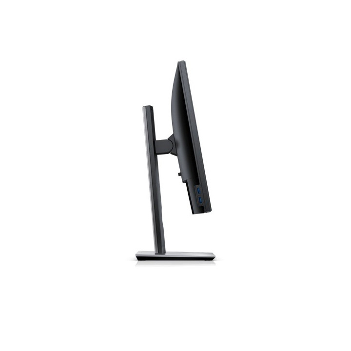 Ecran Plat 19' Dell P1917S