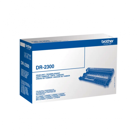 Tambour BROTHER  12000 pages DR-2300