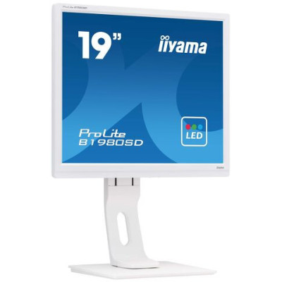 Écran IIYAMA ProLite 19 B1980SD | Docashop