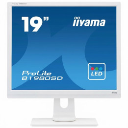 IIYAMA ProLite B1980SD