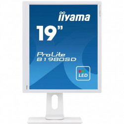 Écran IIYAMA ProLite 19 B1980SD