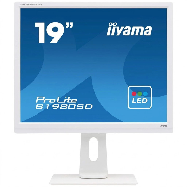 Écran IIYAMA ProLite 19 B1980SD