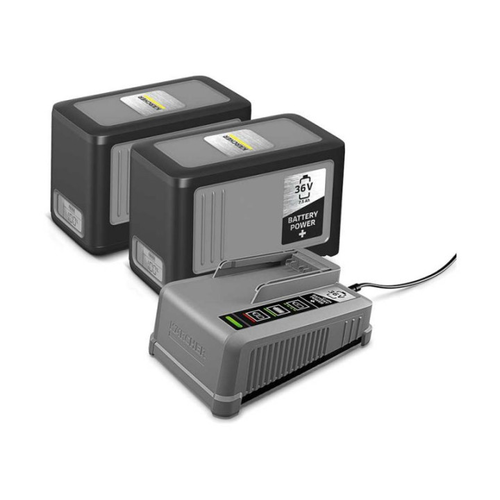 vue du kit complet comprenant 2 batteries Power + de 36 V et le chargeur